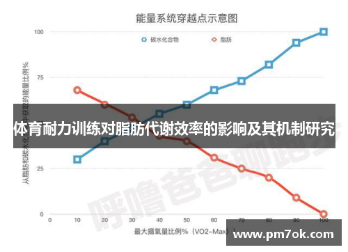 体育耐力训练对脂肪代谢效率的影响及其机制研究