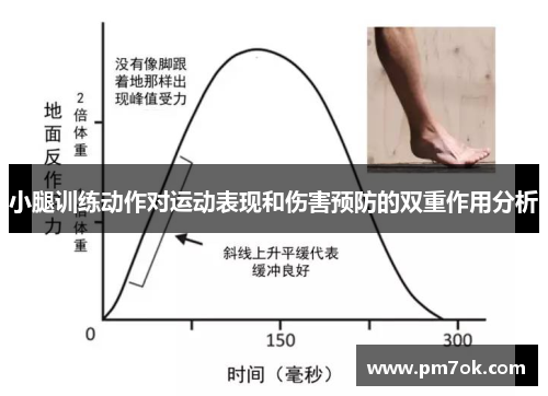 小腿训练动作对运动表现和伤害预防的双重作用分析
